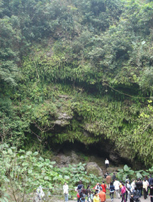 海南海口石山火山群国家地质公园